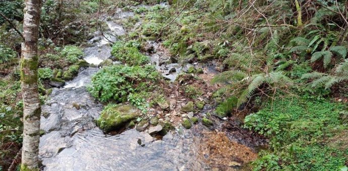 Actuaciones de la Confederación Hidrográfica del Cantábrico en cauces de Valdés