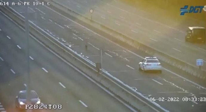 La Guardia Civil rescata una galga extraviada que corría por el bus VAO de la A-6