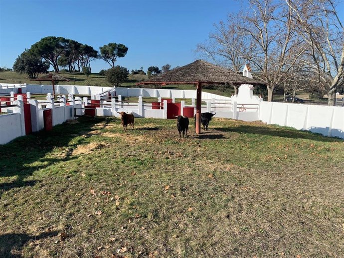Archivo - Instalaciones de la Escuela de Tauromaquia José Cubero 'Yiyo' que abre sus puertas en la Venta del Batán.