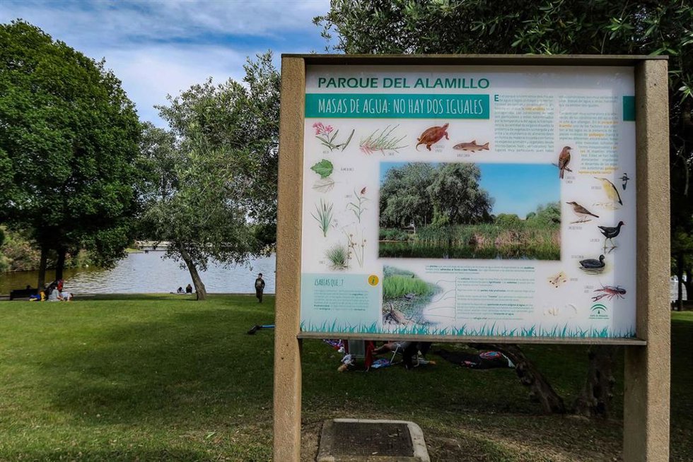 Archivo - Imagen de recurso del Parque del Alamillo.