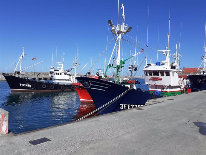 Archivo - Barcos pesqueros en el puerto de Bermeo (Bizkaia)