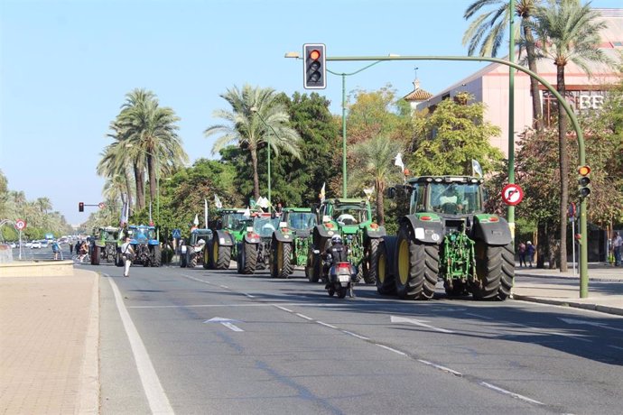 Archivo - Tractores por la avenida de la Palmera durante una protesta de agricultores y ganaderos en Sevilla, en una imagen de archivo.