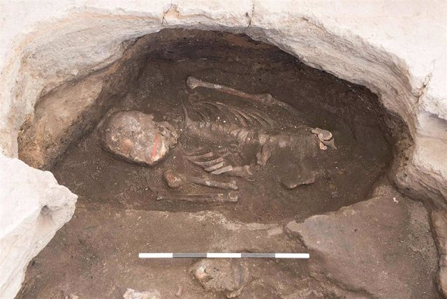 Archivo - Esqueleto de individuo masculino de entre 35 y 50 años con pintura de cinabrio en el cráneo.