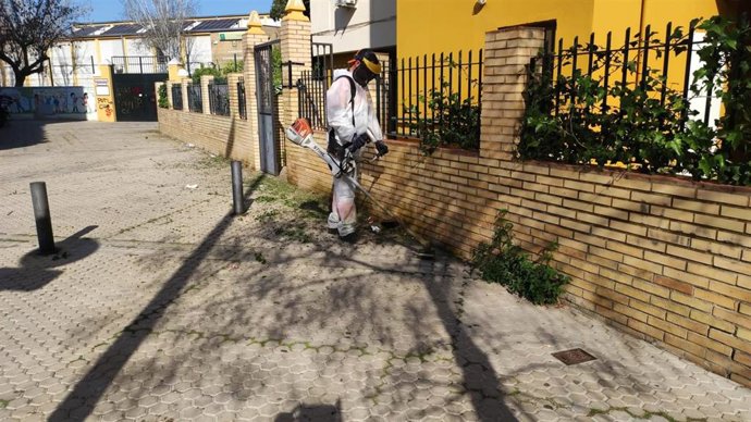 Lipasam inicia una programación de desbroces en Sevilla.