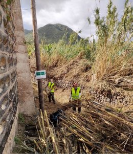 Dos trabajadores realizan labores de limpieza en el cauce de un barranco