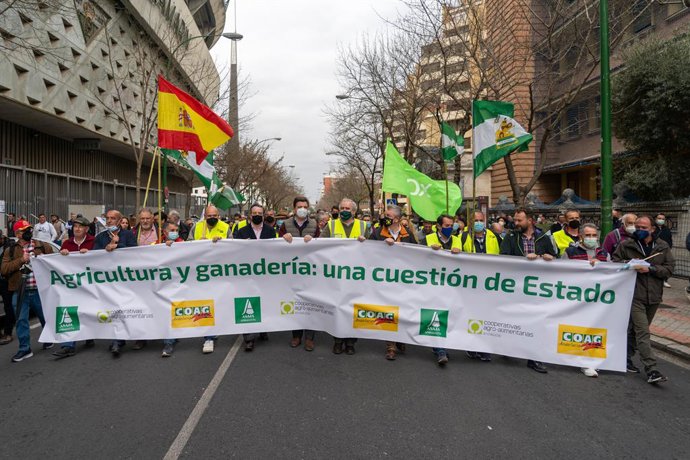 Movilización de agricultores en Sevilla,  para exigir medidas ante la crisis del sector agrario a 25 de febrero del 2022 en Sevilla (Andalucía, España) (Foto de archivo).