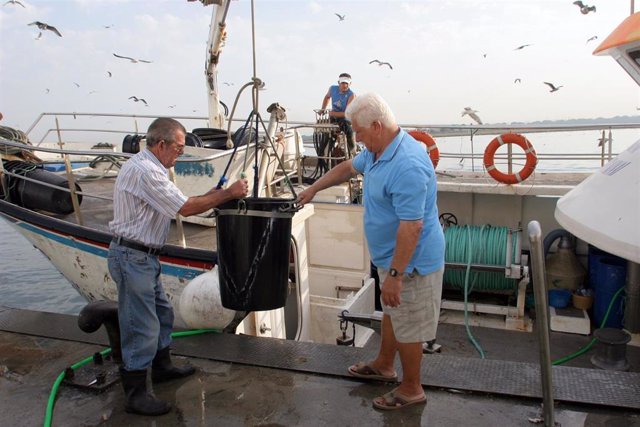 Imagen de pescadores andaluces