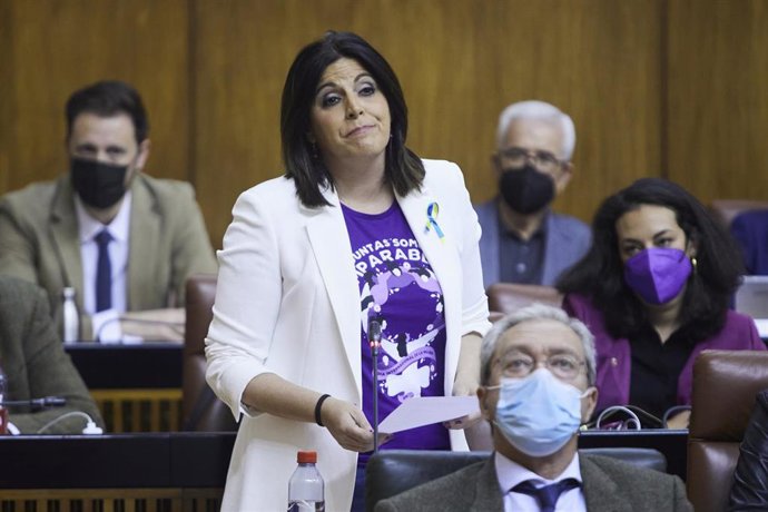La portavoz del Grupo Parlamentario Socialista, Ángeles Férriz, en una foto de archivo en el Pleno del Parlamento andaluz.