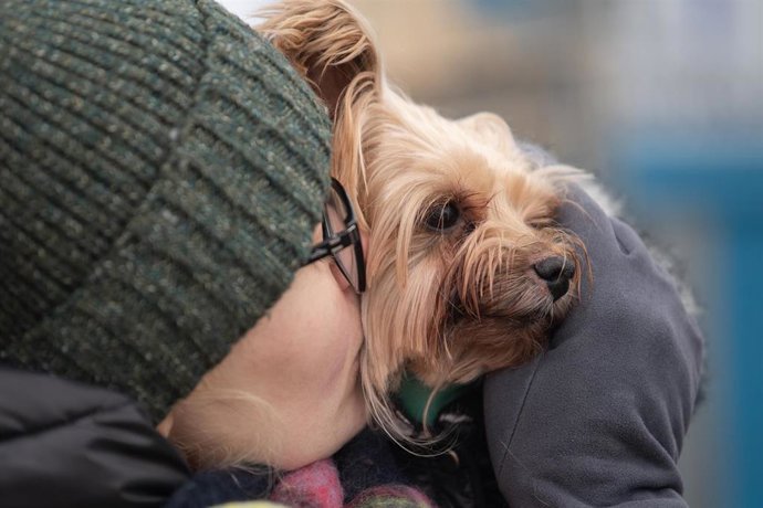 Una mujer besa a su perro en la frontera entre Shehyni (Ucrania) y Medyka (Polonia).