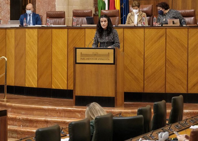 La diputada de Unidas Podemos por Andalucía Carmen Barranco, en el Pleno del Parlamento en una foto de archivo.