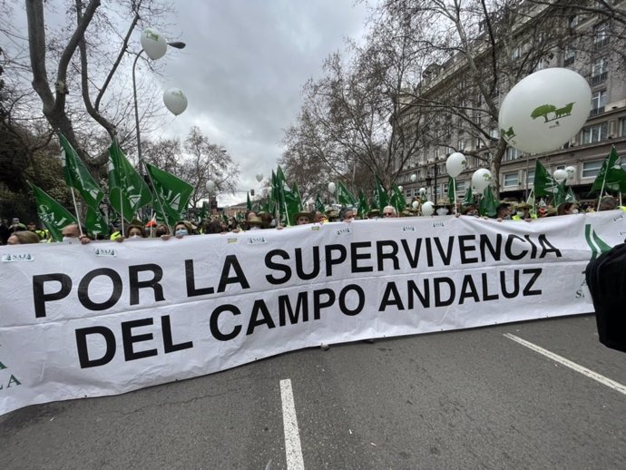 Manifestantes de Asaja de Andalucía en Madrid.