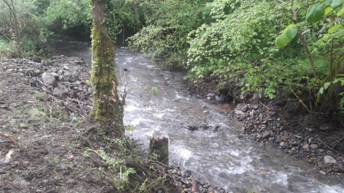 Actuación en el río Turón en Vegona