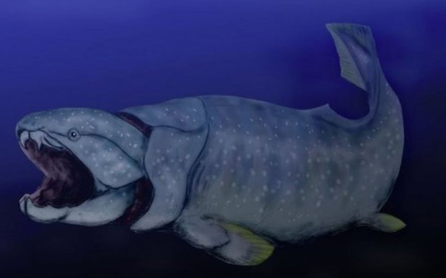 Dunkleosteus - uno de los animales involucrados en el estudio