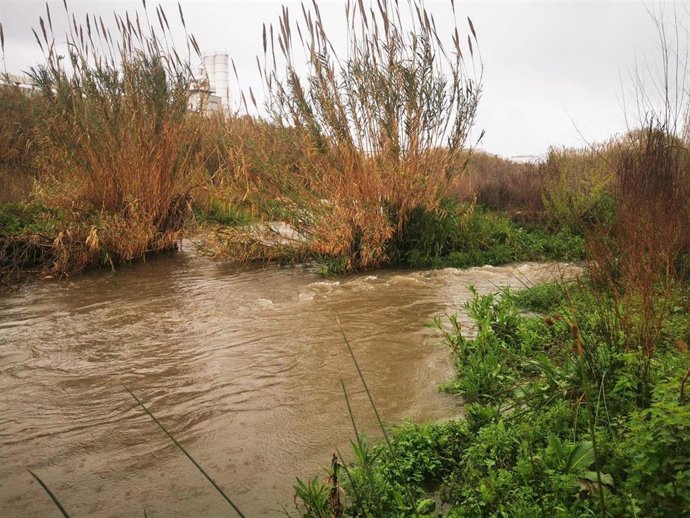 El Bess en el punto de salida de agua de la depuradora de Montorns del Valls (Barcelona)