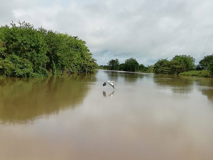 Cienaga de Ayapel en Colombia.