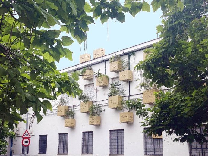 'Jardines En El Aire' De Luces De Barrio, Un Proyecto Cultural Impulsado Por El Ayuntamiento De Sevilla.