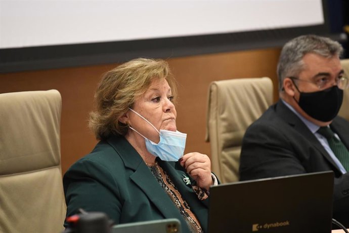 La presidenta del Tribunal de Cuentas, Enriqueta Chicano, comparece en la Comisión Mixta para las Relaciones con el Tribunal de Cuentas, en el Congreso 