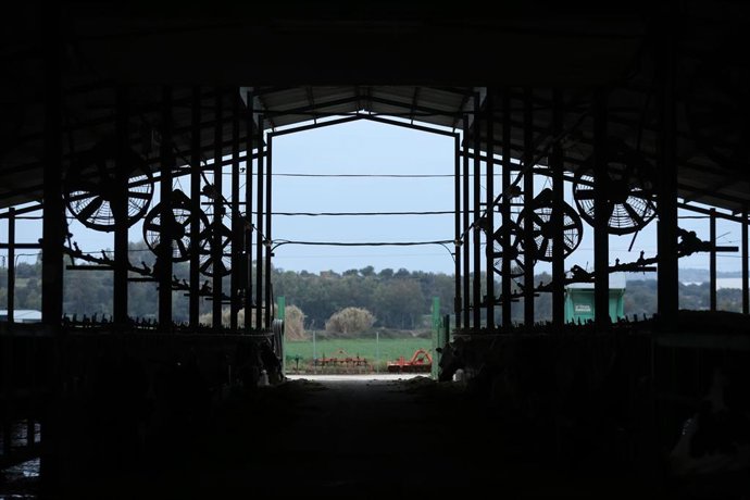 Vista del interior de las instalaciones de una granja