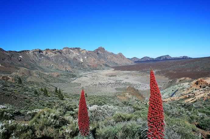 Parques nacional del Teide.