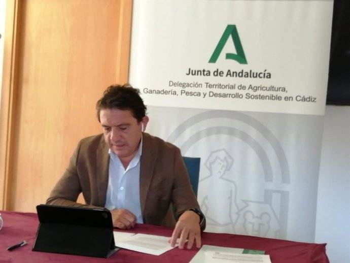 El delegado territorial de Desarrollo Sostenible de la Junta de Andalucía en la provincia de Cádiz, Daniel Sánchez.