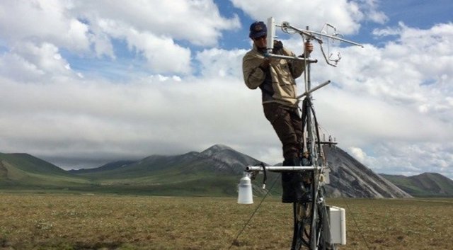 Un investigador verifica instrumentos de monitoreo de tundra en Ivotuk, Alaska