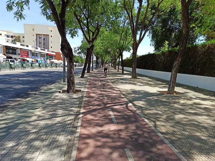 Paseo arbolado de la avenida de Cuba, en Mairena