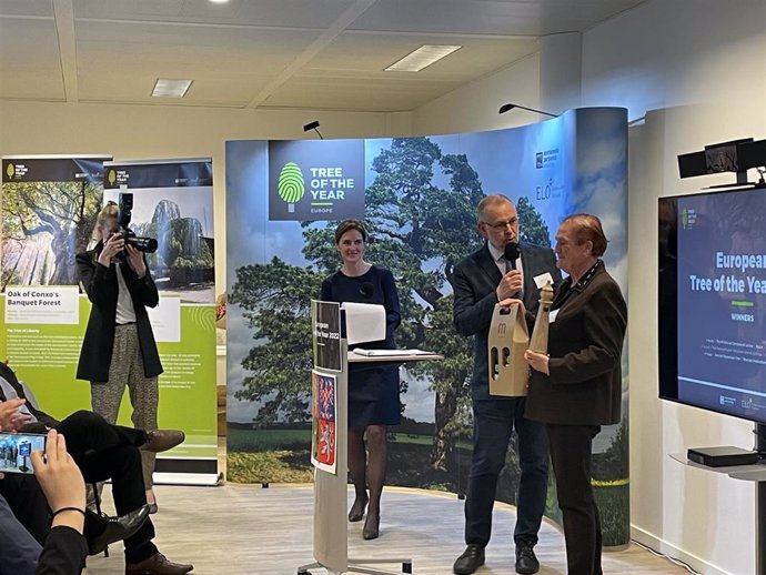 La Carrasca milenaria de Lecina recibe el premio al Árbol Europeo del 2021 en Bruselas
