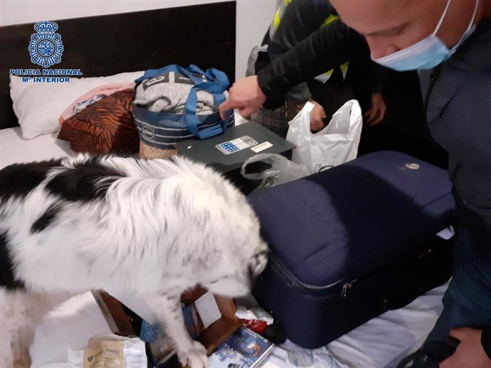 Actuación de la Policía Nacional en Logroño