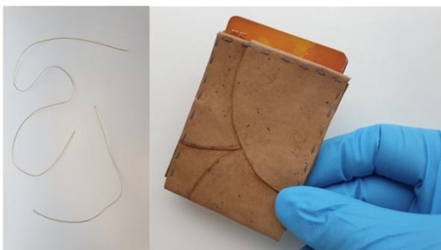 Las fibras fúngicas se pueden convertir en hilo (izquierda) o en un sustituto del cuero (derecha).