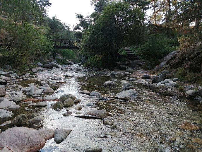 Ejemplo de río en buenas condiciones ecológicas. Río Eresma (La Granja de San Ildefonso, Segovia)