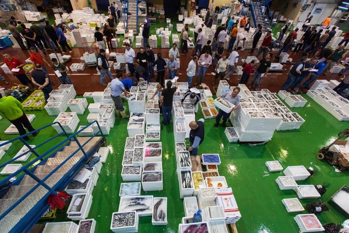 Archivo - Mercado Mayorista de Pescado de Córdoba, en una imagen de archivo.
