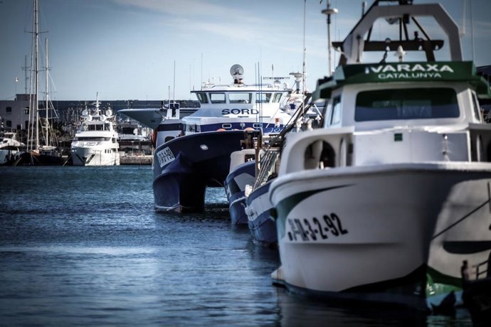 Archivo - Barcos de pesca en el Port de Tarragona.