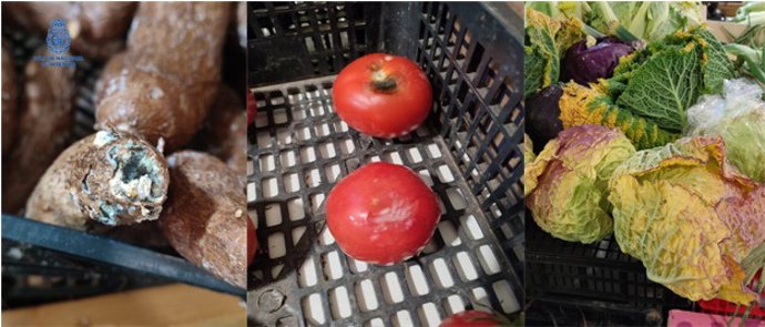 Imagen de unos productos eliminados durante las inspecciones.