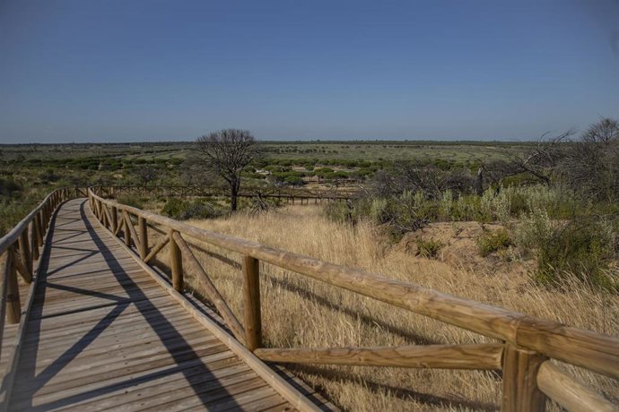 Archivo -  Espacio Natural de Doñana en una imagen de archivo