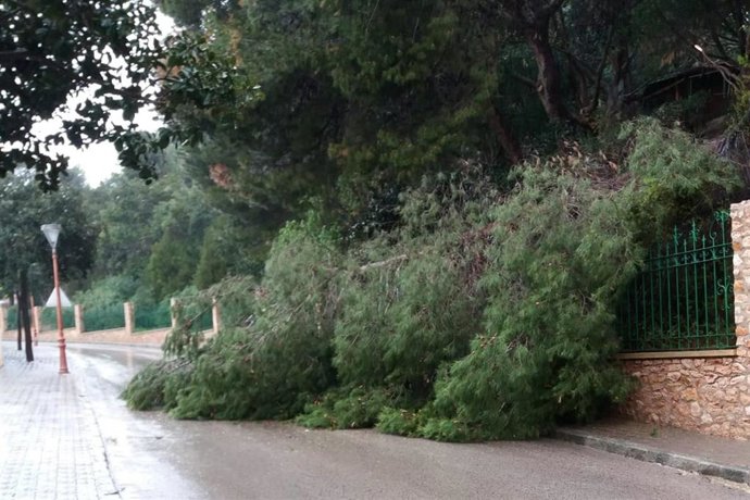 Cortan al tráfico varias carreteras en Alhama de Murcia y cierran los parques en Cartagena debido a las lluvias