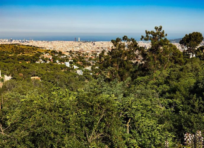 Archivo - Vista panorámica de Barcelona des del Parc Natural de la Serra de Collserola.