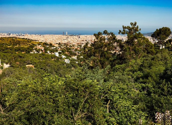 Archivo - Vista panormica de Barcelona des del parc natural de la Serra de Collserola