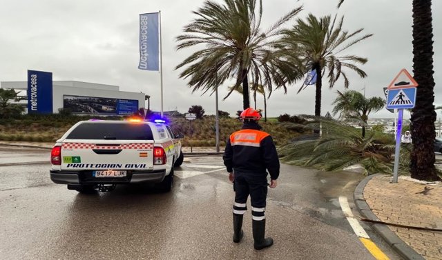 Protección Civil de Estepona (Málaga), en una actuación por la caída de una palmera