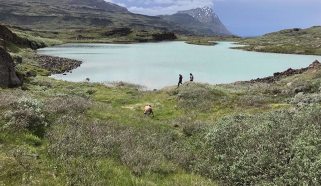 Paisaje de Groenlandia donde se realizó la investigación