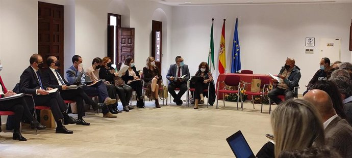 Un momento de la reunión, presidida por Carmen Castillo.