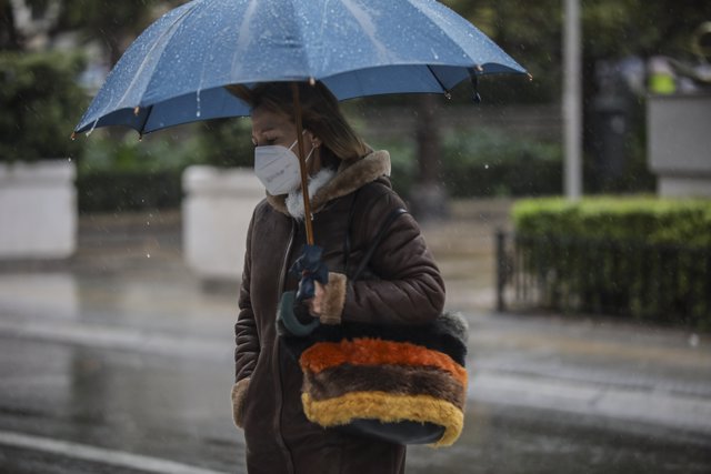 Una persona camina bajo la lluvia protegido con un paraguas durante la llegada de la borrasca Filomena em Sevilla (Andalucía, España), a 08 de noviembre de 2021.
