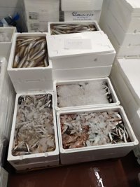 Mercacórdoba mantiene el incremento de la entrada de pescados, hasta el 75%, y siguen abriendo más pescaderías