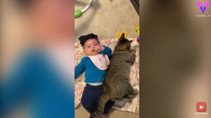 Bebé y una gata son mejores amigos