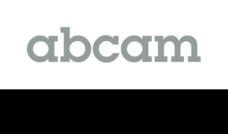 Comunicados Internacional