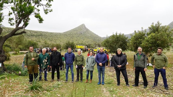 Archivo - Jornada forestal en Sa Duaia (Art).