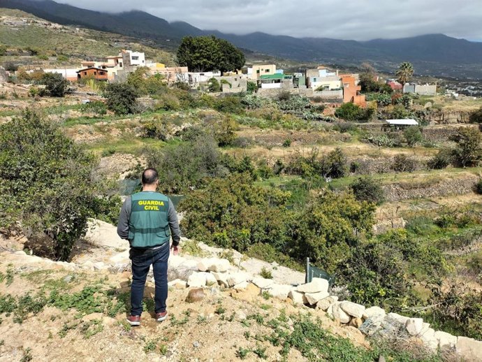 Un agente de la Guardia Civil en una finca en la que se sustrajeron 450 kilos de aguacates