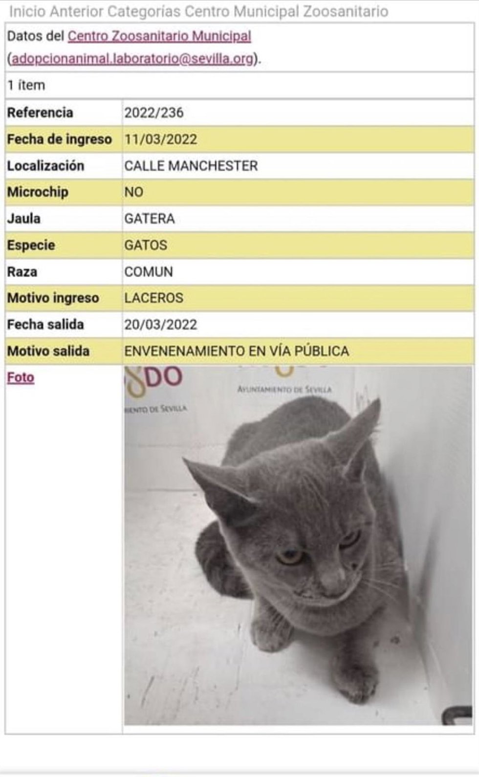 Uno de los ejemplares capturados y posteriormente fallecido.