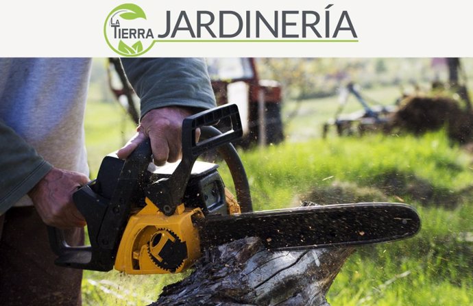 La importancia de la tala de árboles, por LA TIERRA JARDINERÍA.