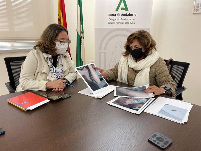 El PP de San Juan denuncia al alcalde en la Delegación de Salud por "dejación de funciones" en la barriada Santa Isabel ante la plaga de ratas y chinches