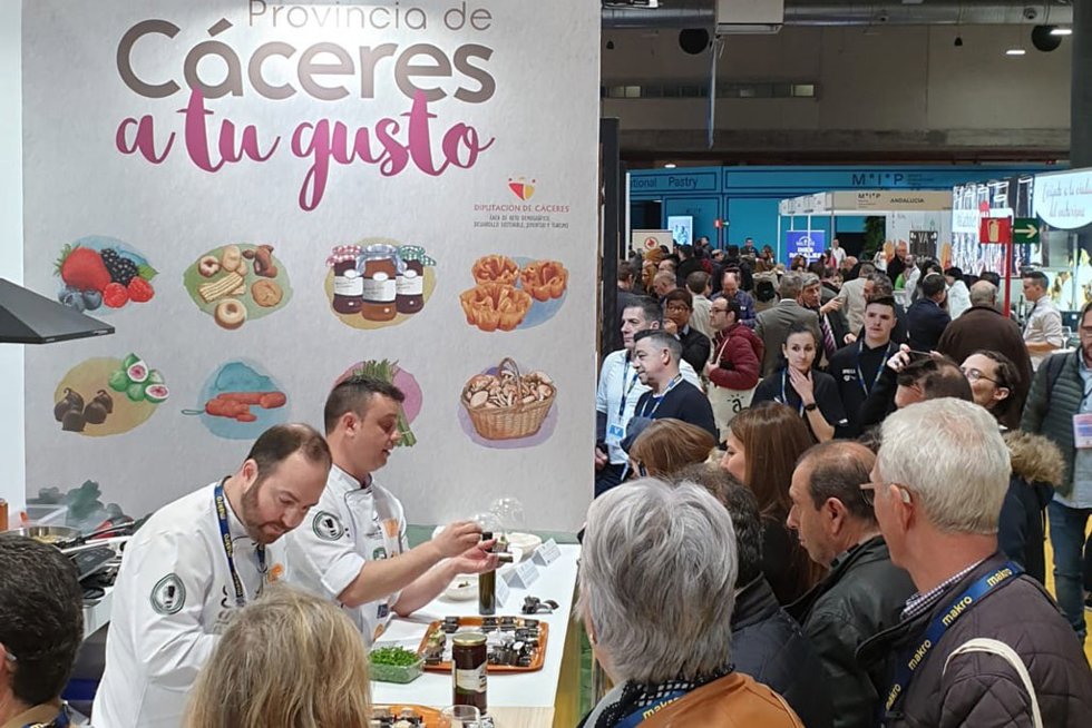 Archivo - Stand de la Diputación de Cáceres en ediciones anteriores de Madrid Fusión